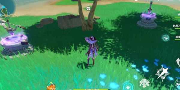 原神幻境海螺位置全攻略