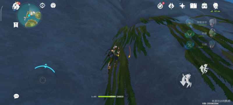 原神2.8金苹果群岛危危岛登顶攻略