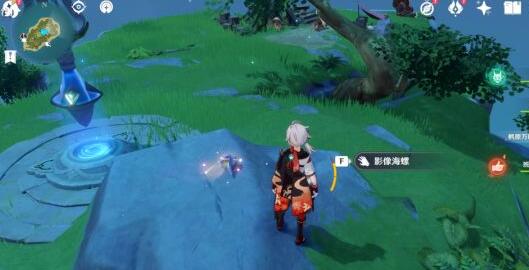 原神幻境海螺位置全攻略