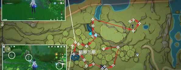 原神帕蒂沙兰采集点全攻略：高效获取关键素材的路线与技巧