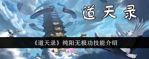 《道天录》纯阳无极功技能深度解析与实战应用指南