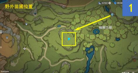 原神水天供书桓斯弥利底点位全攻略