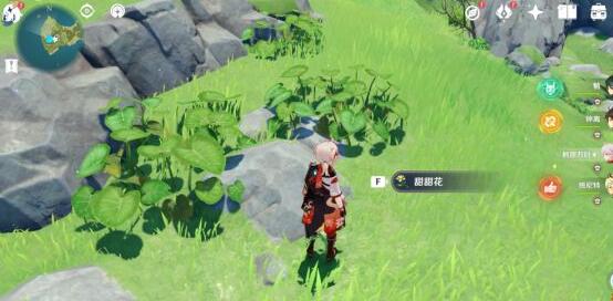 原神幻境海螺位置全攻略