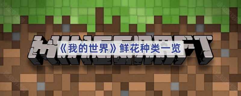 我的世界鲜花种类有多少
