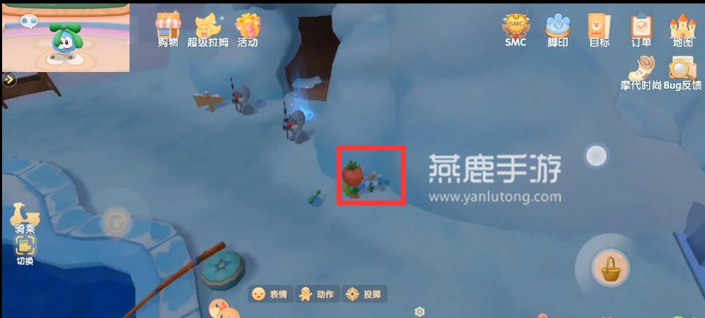 摩尔庄园白色浆果的采集地点与技巧