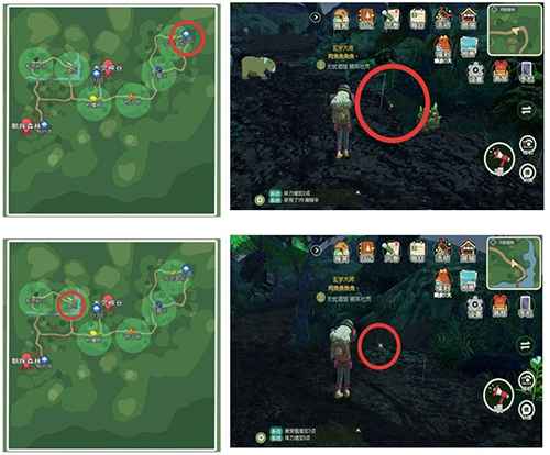 小森生活稀有虫点全攻略：位置、刷新时间与捕捉技巧