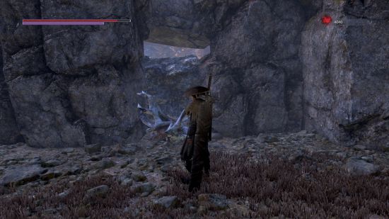 嗜血印吸血护符的获取方法详解