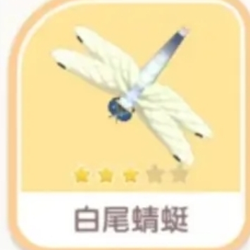 心动小镇手游白尾蜻蜓刷新位置全攻略：雨天彩虹天捕捉指南