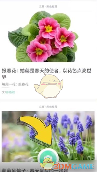 形色APP如何轻松识别植物