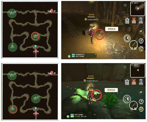 小森生活稀有虫点全攻略：位置、刷新时间与捕捉技巧