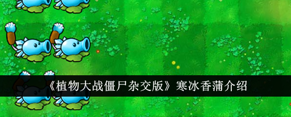 寒冰香蒲在《植物大战僵尸杂交版》中的强大实力分析