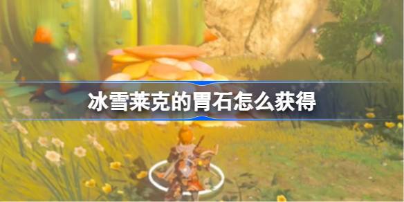 冰雪莱克的胃石获取攻略：时机与技巧是关键