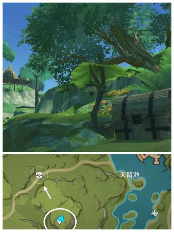 原神v5.6须弥宝箱位置全攻略