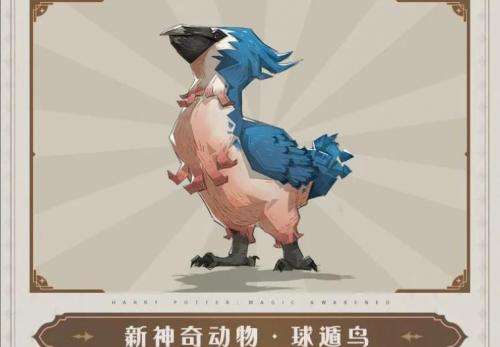 哈利波特魔法觉醒球遁鸟的获取之道