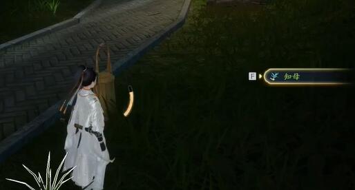 射雕赵王府梦华录收集全攻略