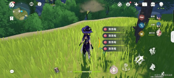 原神落落莓采集全攻略:81个最佳采集路线与实用技巧