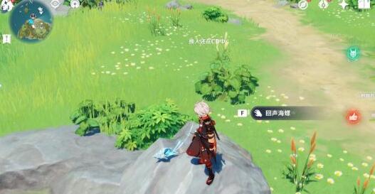 原神幻境海螺位置全攻略