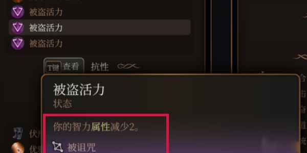 博德之门3失落之镜玩法详解：获取、使用与注意事项