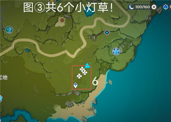 原神小灯草采集全攻略：高效刷新地点与路线
