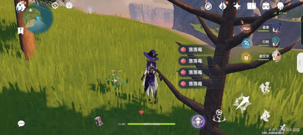 原神落落莓采集全攻略:81个最佳采集路线与实用技巧