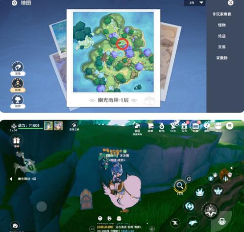 圣境之塔幽光雨林宝箱位置全解