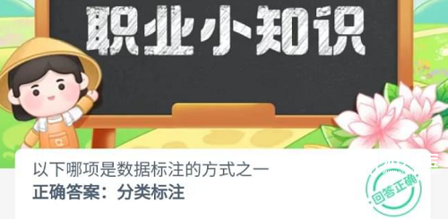 数据标注的主要方式及其重要性