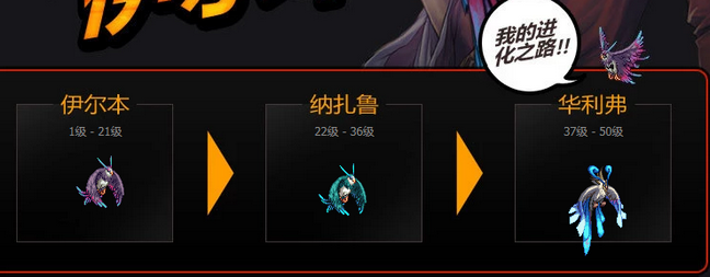 宠物进化全攻略：从伊尔本到华利弗的蜕变之路