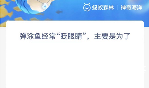 弹涂鱼独特眨眼方式：头顶潜望镜如何保持湿润？