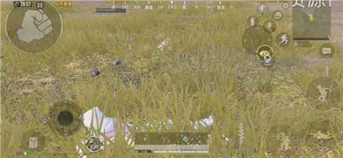 和平精英白熊和恐龙睡衣哪个更胜一筹？