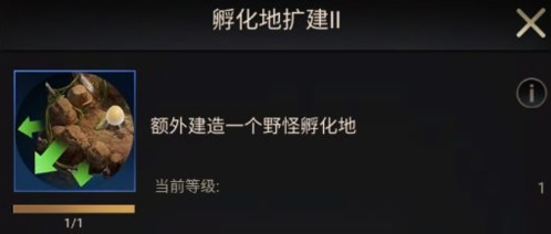 小小蚁国中期进化指南：类型选择与策略推荐