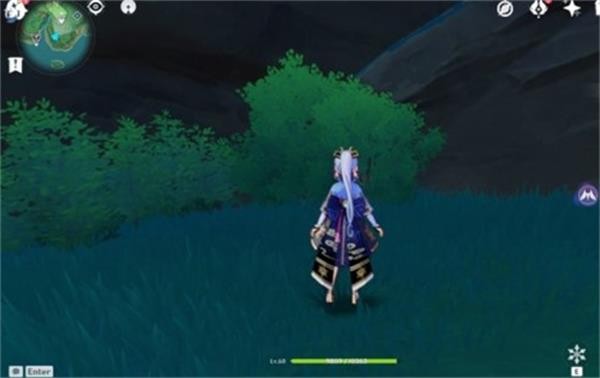 原神鲸井小弟手鞠位置全攻略