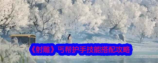 射雕丐帮护手轻剑双核搭配攻略：技能顺序与绝学选择详解