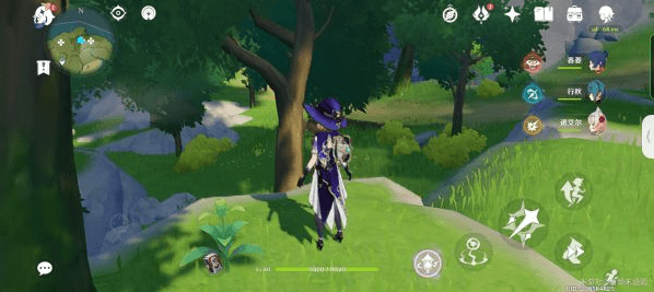 原神落落莓采集全攻略:81个最佳采集路线与实用技巧