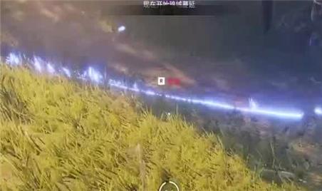 方块方舟驯兽心得分享：耐心策略，解锁神兽奥秘