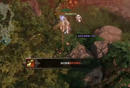 命运方舟风弥之丘九颗摩可可完整位置图解