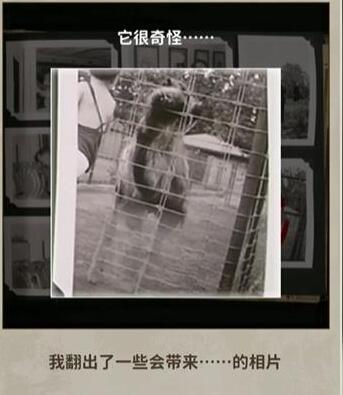 发现隐藏线索：看不见的真相被藏匿的照片攻略