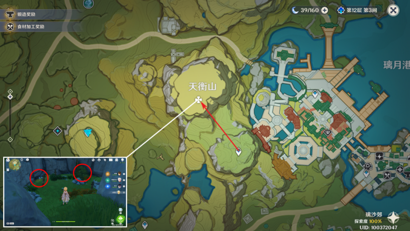 原神夜泊石高效采集攻略：璃月与层岩巨渊采集点全解析