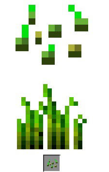 我的世界手游植物种子获取方法全攻略