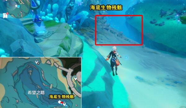 原神光影研学旖旎水界第五天拍照任务全攻略