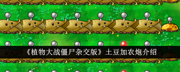 土豆加农炮怎么样？《植物大战僵尸杂交版》中土豆加农炮的详细介绍与评价