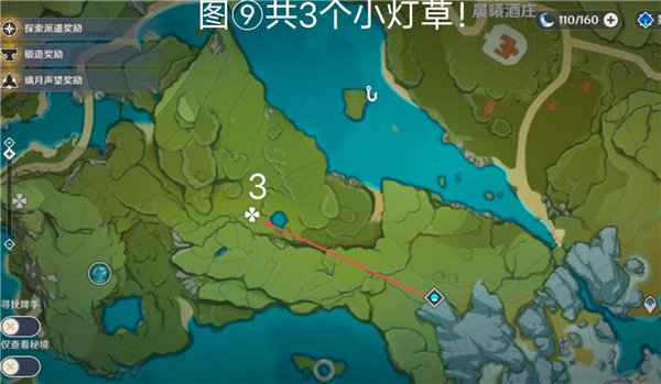 原神小灯草采集全攻略：高效刷新地点与路线
