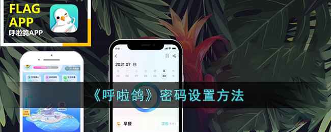 呼啦鸽密码设置指南：轻松保护你的账户安全