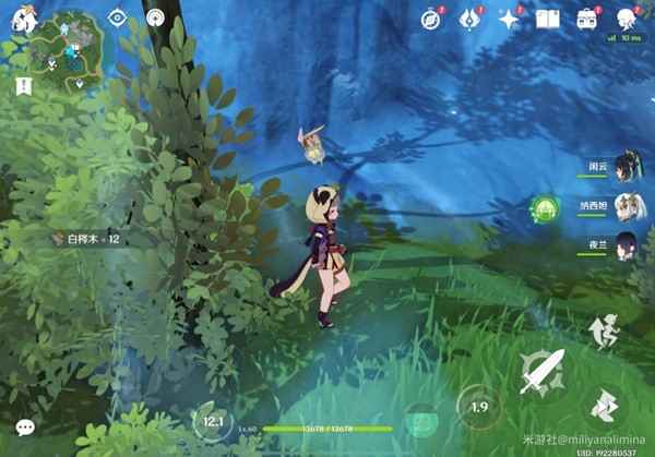 原神白梣木采集全攻略：位置、用途与采集技巧