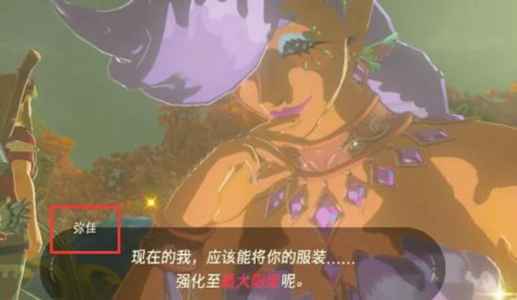 塞尔达传说王国之泪:大精灵之泉位置全解析与获取指南