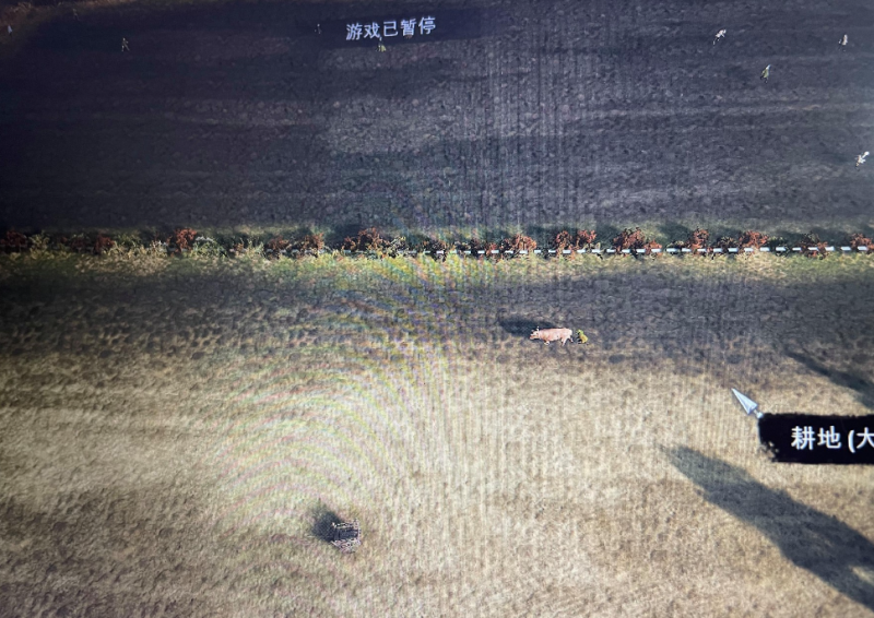 庄园领主种田攻略：关键细节与高效技巧