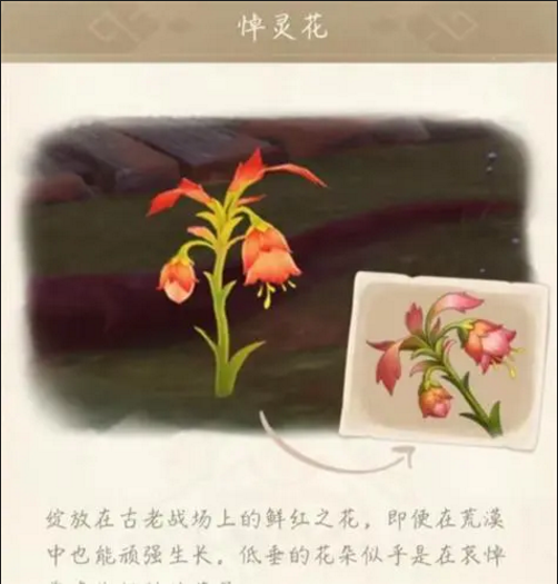 原神3.6悼灵花刷新机制详解：48小时野外刷新，72小时尘歌壶成熟