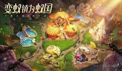 小小蚁国搬砖攻略：快速积累财富，提升游戏体验