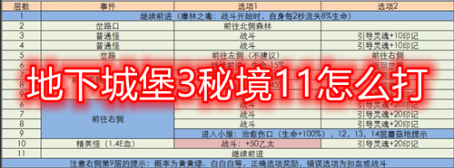 地下城堡3秘境11详细攻略：难点解析与通关指南