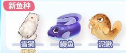 摩尔庄园钓鳗鱼的技巧与时间地点