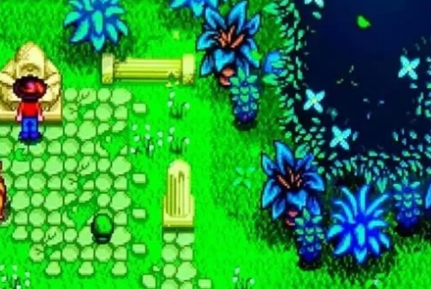 星露谷物语宝石甜莓的获取与种植全攻略